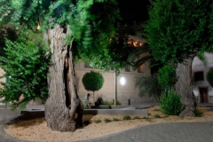 nuez-de-ebro-galeria-04