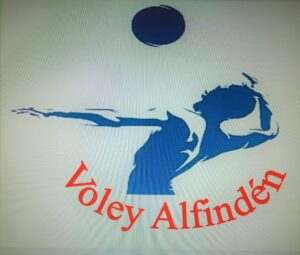 Jornada Copa Escuela Voley Alfindén